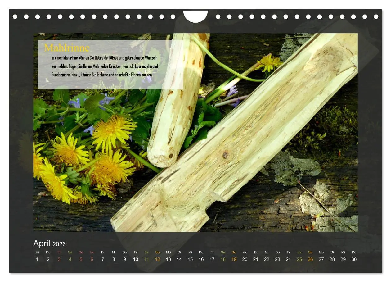 Bild: 9783457935125 | Outdoor-Survival-Kalender (Wandkalender 2026 DIN A4 quer), CALVENDO...
