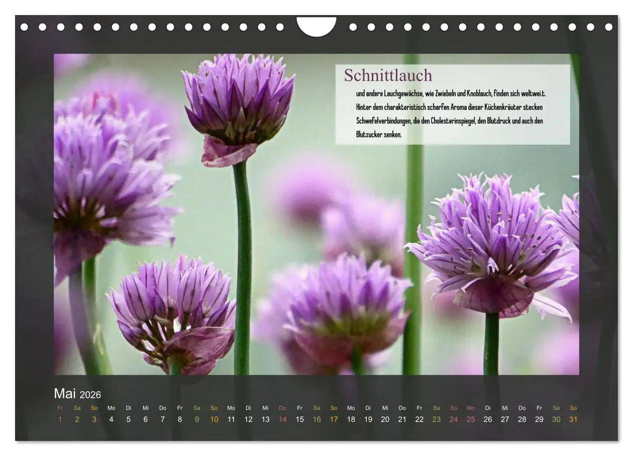 Bild: 9783457935125 | Outdoor-Survival-Kalender (Wandkalender 2026 DIN A4 quer), CALVENDO...