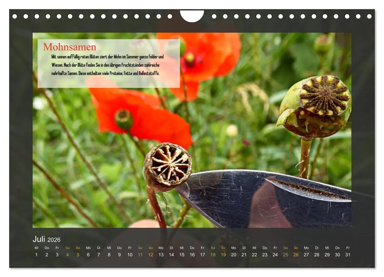 Bild: 9783457935125 | Outdoor-Survival-Kalender (Wandkalender 2026 DIN A4 quer), CALVENDO...