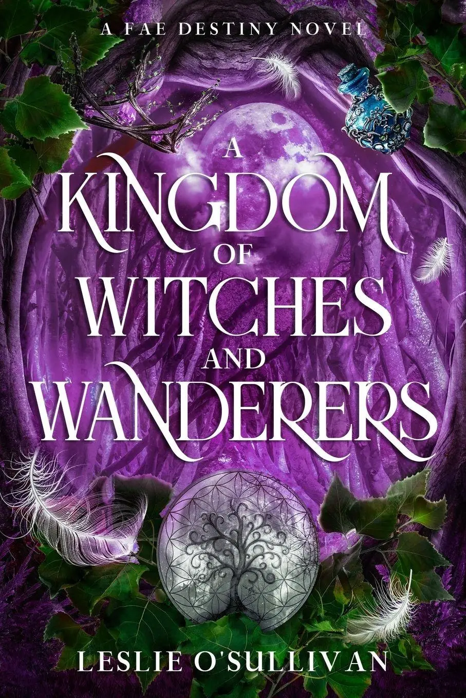 Cover: 9781648985225 | A Kingdom of Witches and Wanderers | Leslie O'Sullivan | Taschenbuch