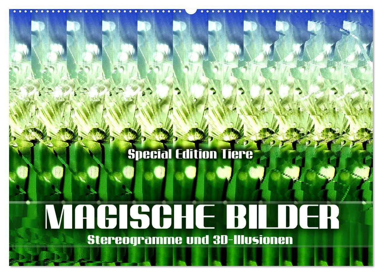 Cover: 9783457545225 | Magische Bilder - Stereogramme und 3D-Illusionen (Wandkalender 2026...