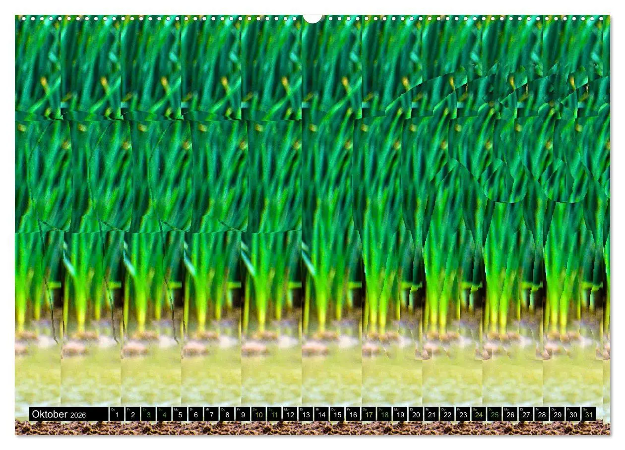 Bild: 9783457545225 | Magische Bilder - Stereogramme und 3D-Illusionen (Wandkalender 2026...