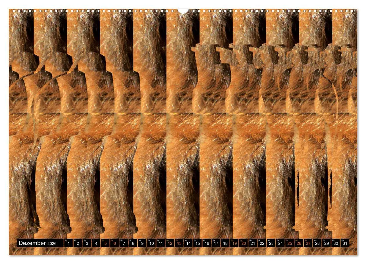 Bild: 9783457545225 | Magische Bilder - Stereogramme und 3D-Illusionen (Wandkalender 2026...