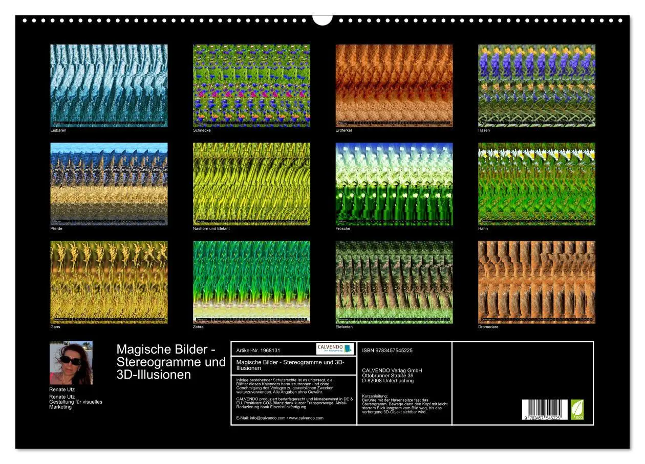 Bild: 9783457545225 | Magische Bilder - Stereogramme und 3D-Illusionen (Wandkalender 2026...