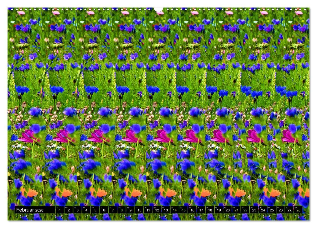 Bild: 9783457545225 | Magische Bilder - Stereogramme und 3D-Illusionen (Wandkalender 2026...