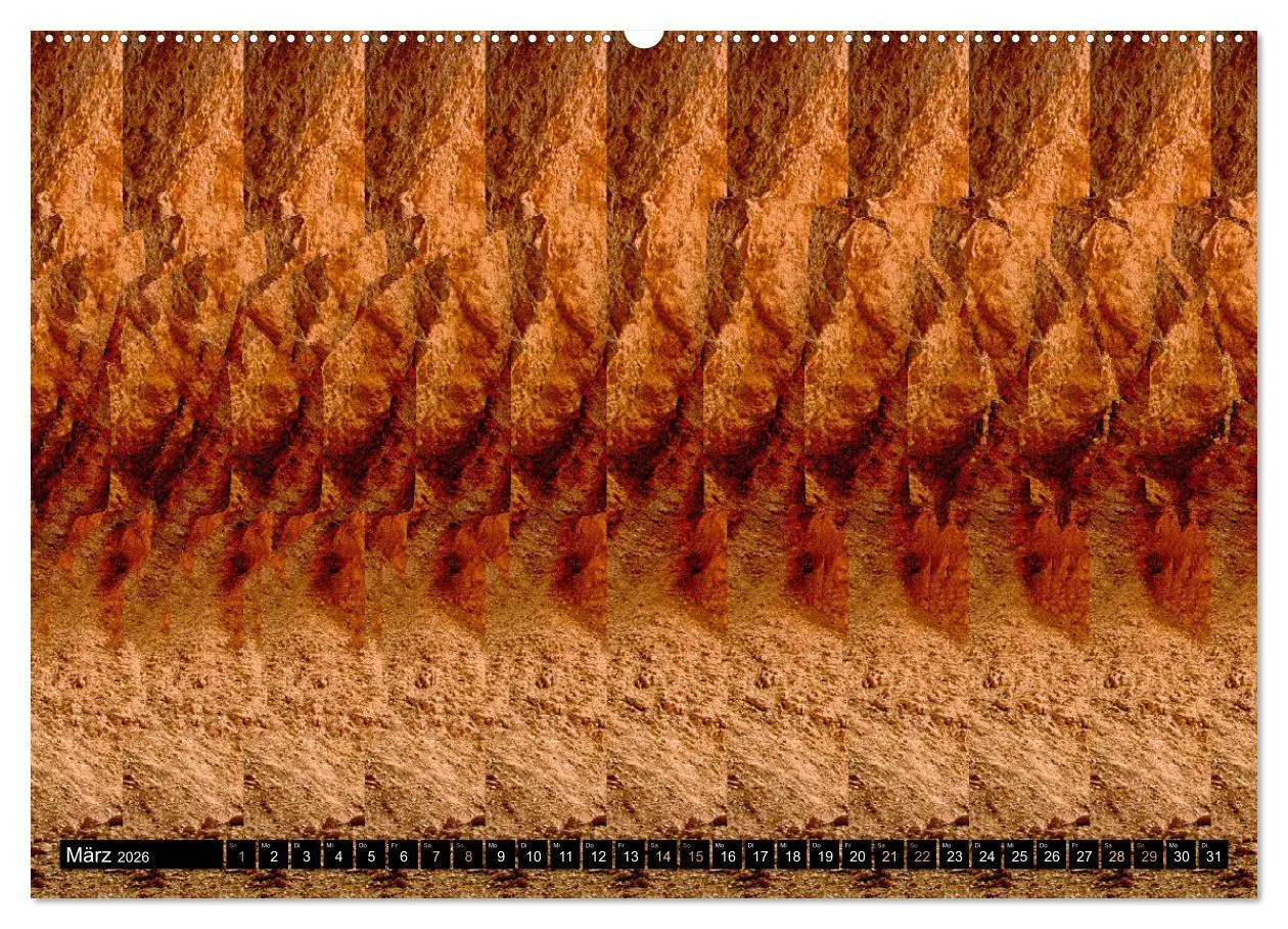 Bild: 9783457545225 | Magische Bilder - Stereogramme und 3D-Illusionen (Wandkalender 2026...