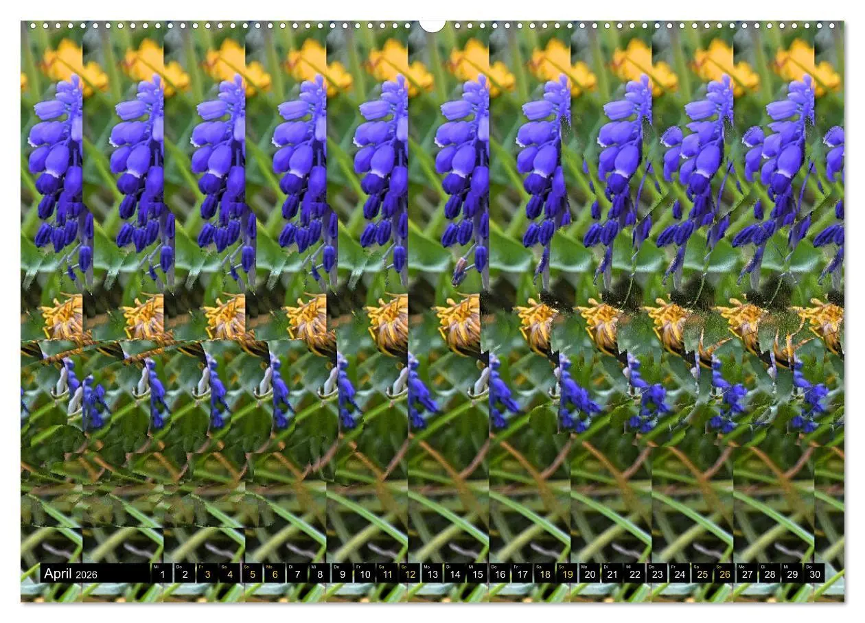 Bild: 9783457545225 | Magische Bilder - Stereogramme und 3D-Illusionen (Wandkalender 2026...