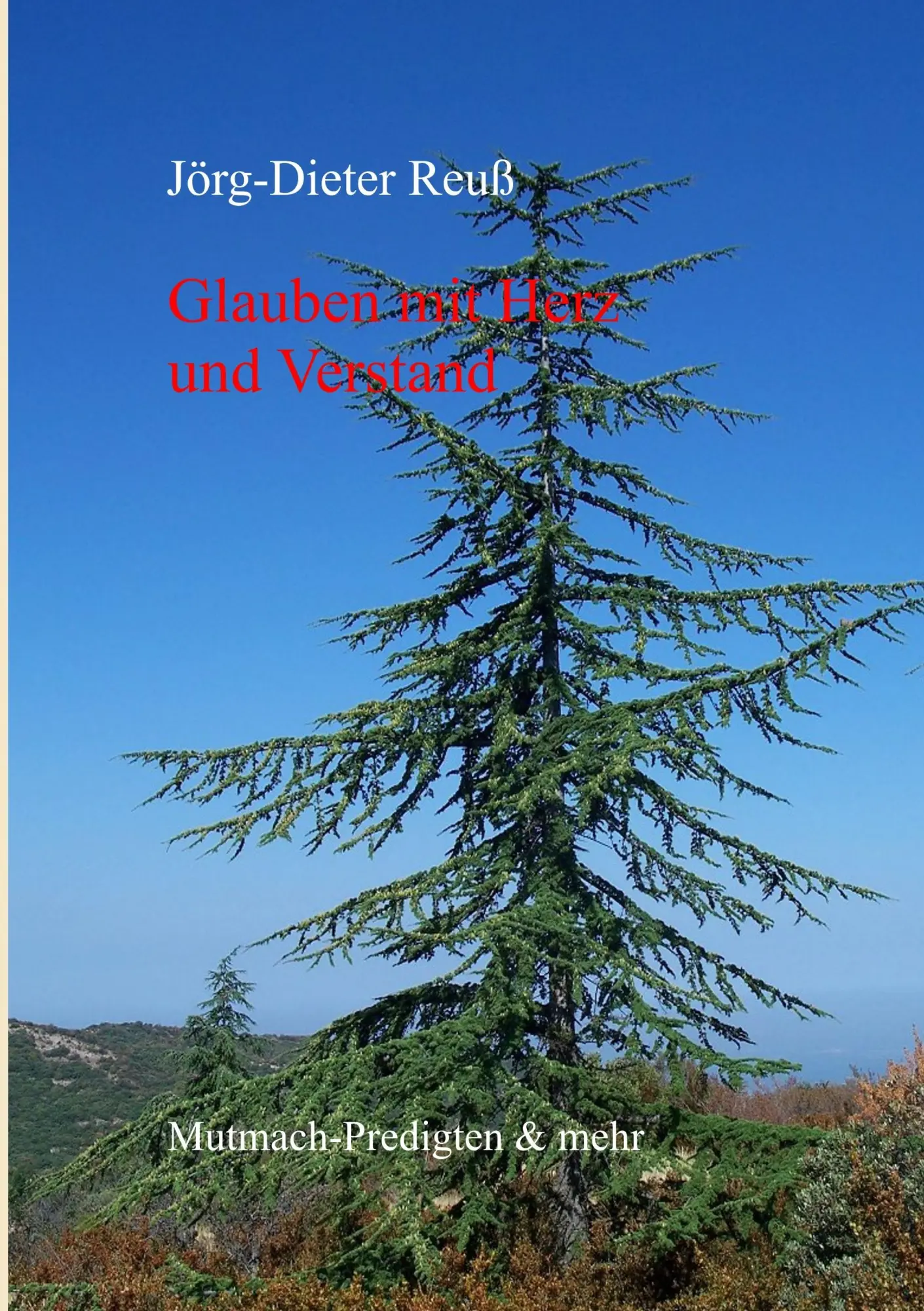 Cover: 9783738635225 | Glauben mit Herz und Verstand | Mutmach-Predigten &amp; mehr | Reuß | Buch