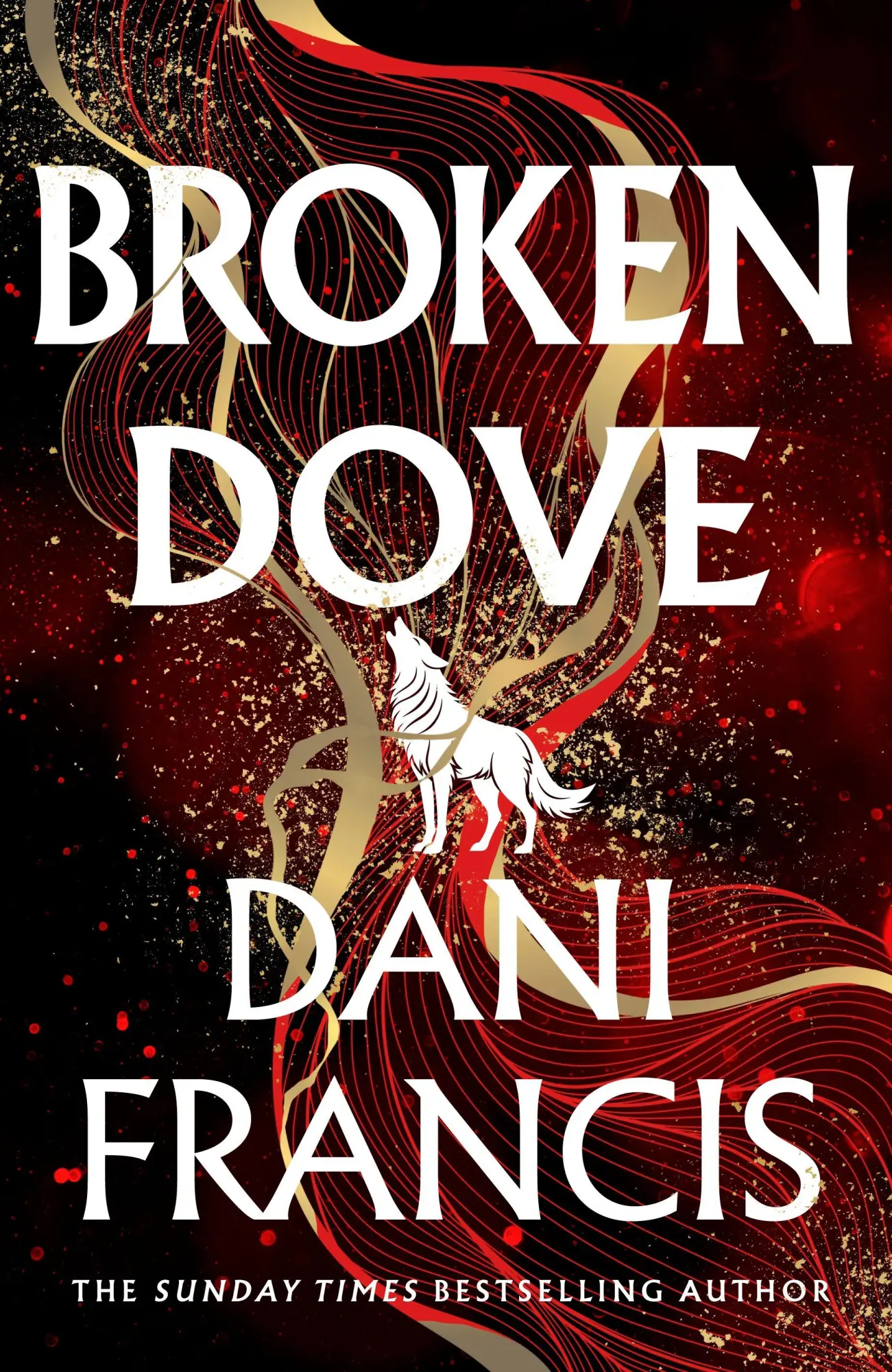 Cover: 9781529935325 | Broken Dove | Dani Francis | Taschenbuch | 594 S. | Englisch | 2026