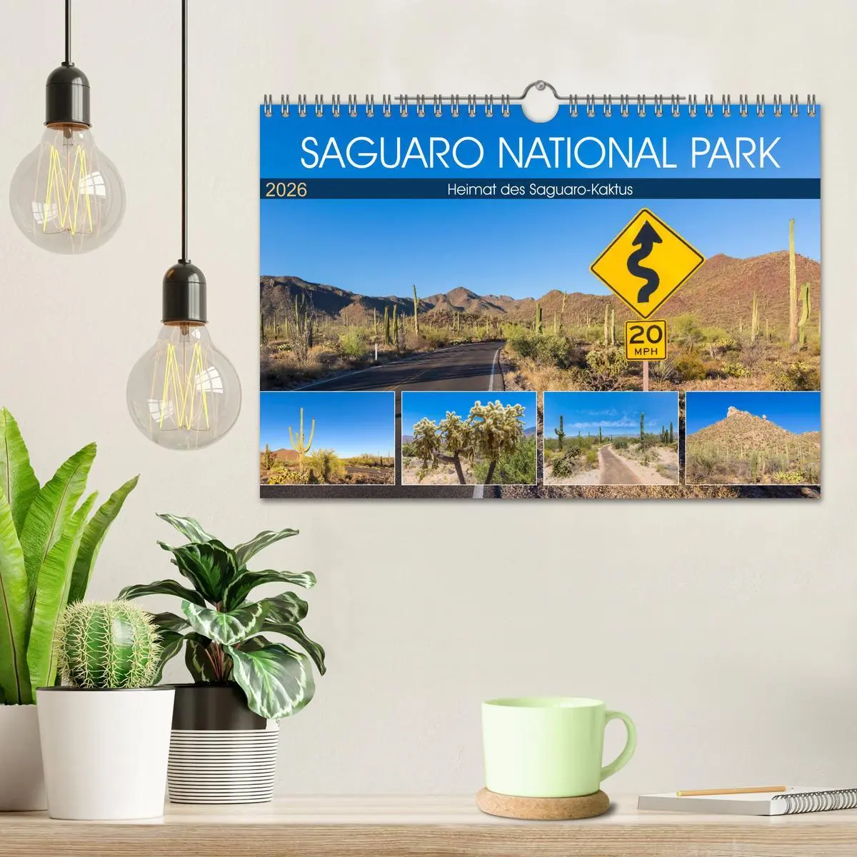 Bild: 9783457775325 | SAGUARO NATIONAL PARK Heimat des Saguaro-Kaktus (Wandkalender 2026...
