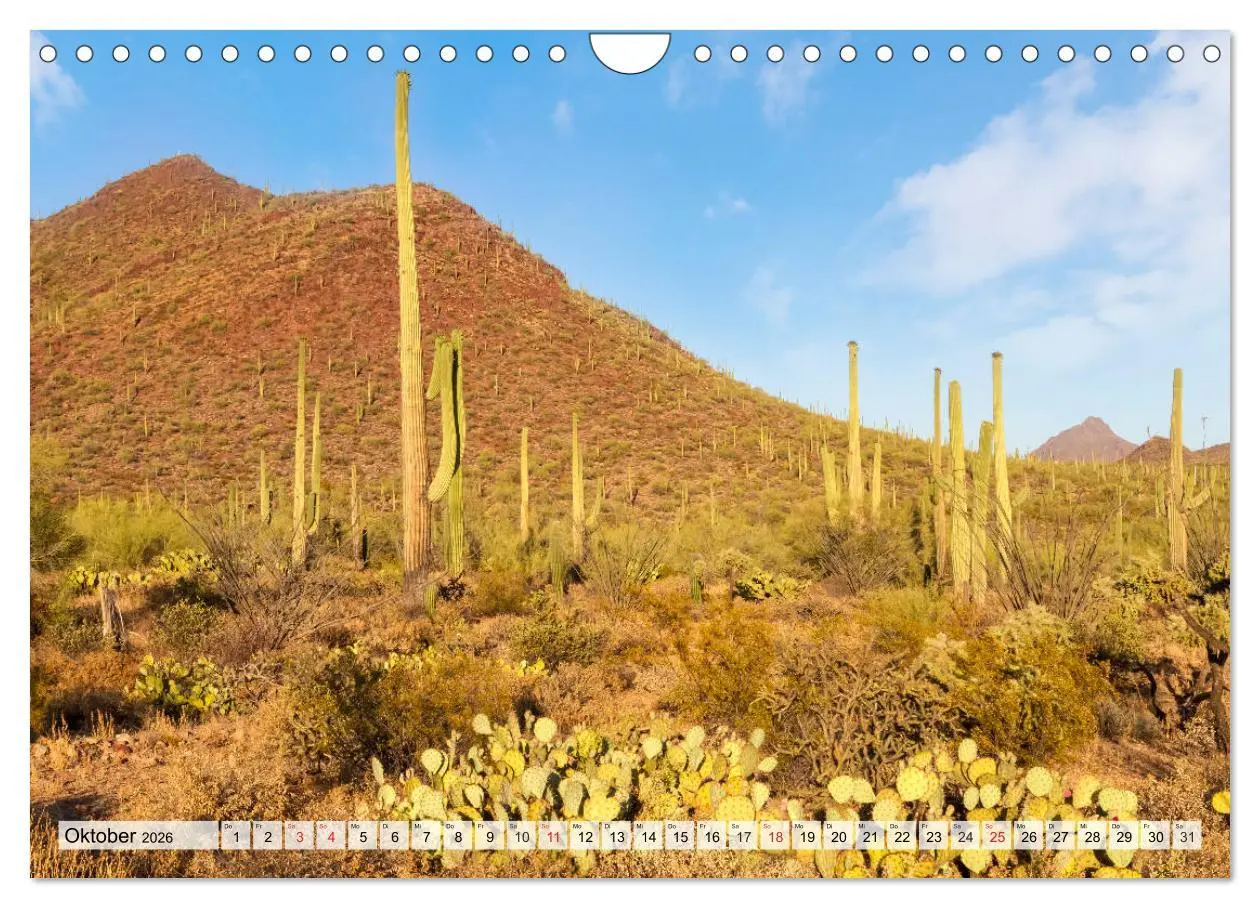 Bild: 9783457775325 | SAGUARO NATIONAL PARK Heimat des Saguaro-Kaktus (Wandkalender 2026...