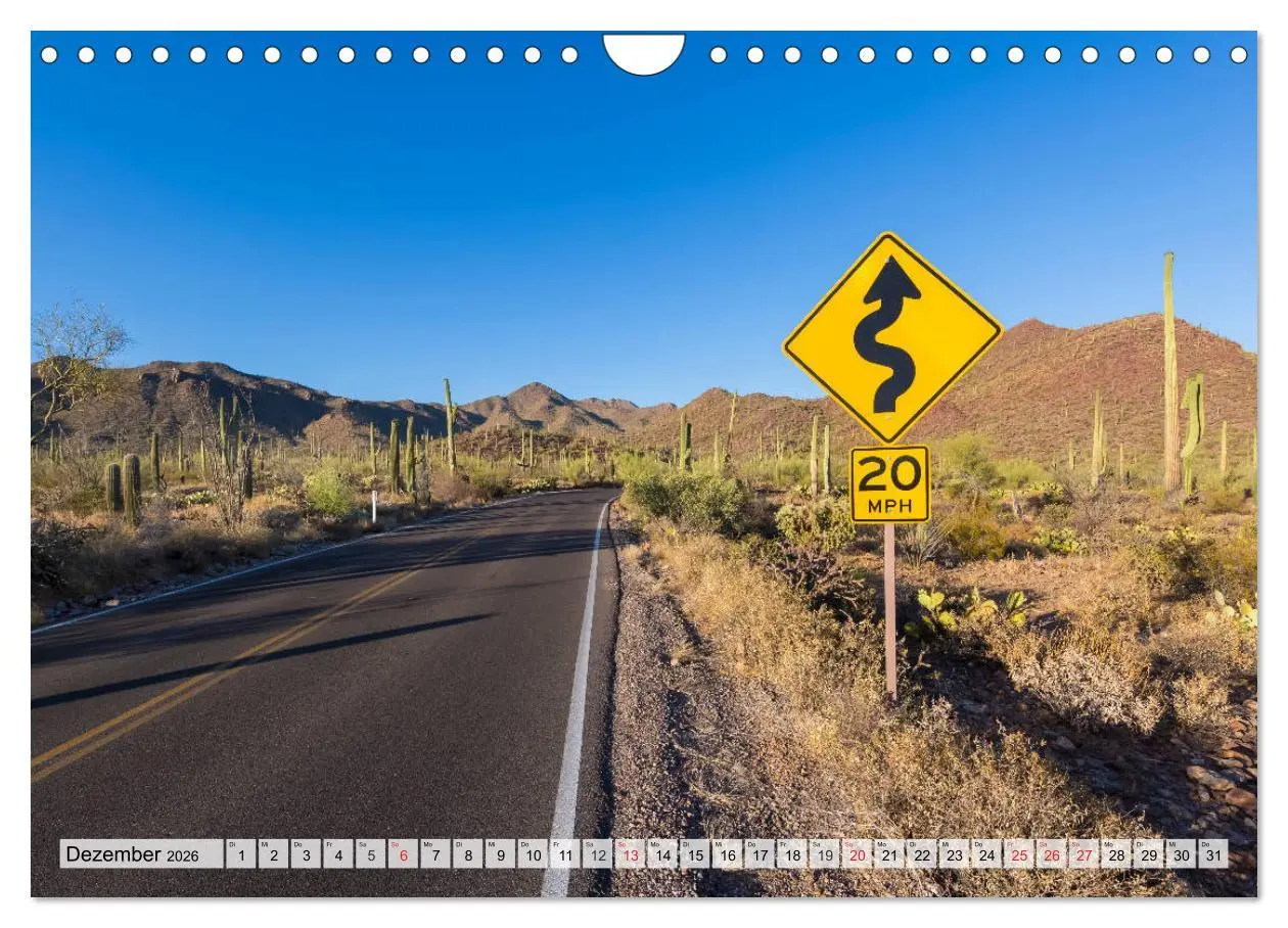Bild: 9783457775325 | SAGUARO NATIONAL PARK Heimat des Saguaro-Kaktus (Wandkalender 2026...