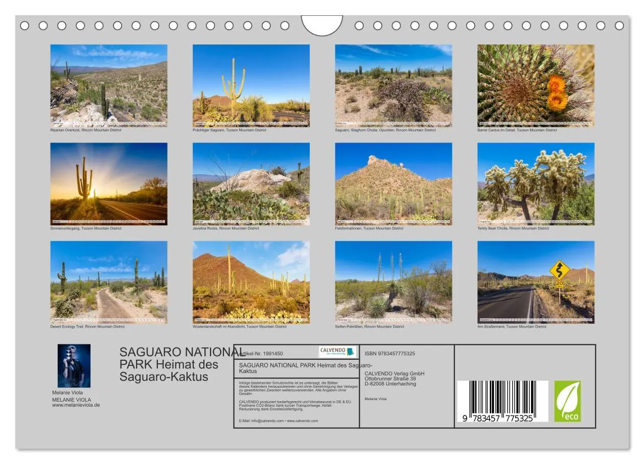 Bild: 9783457775325 | SAGUARO NATIONAL PARK Heimat des Saguaro-Kaktus (Wandkalender 2026...