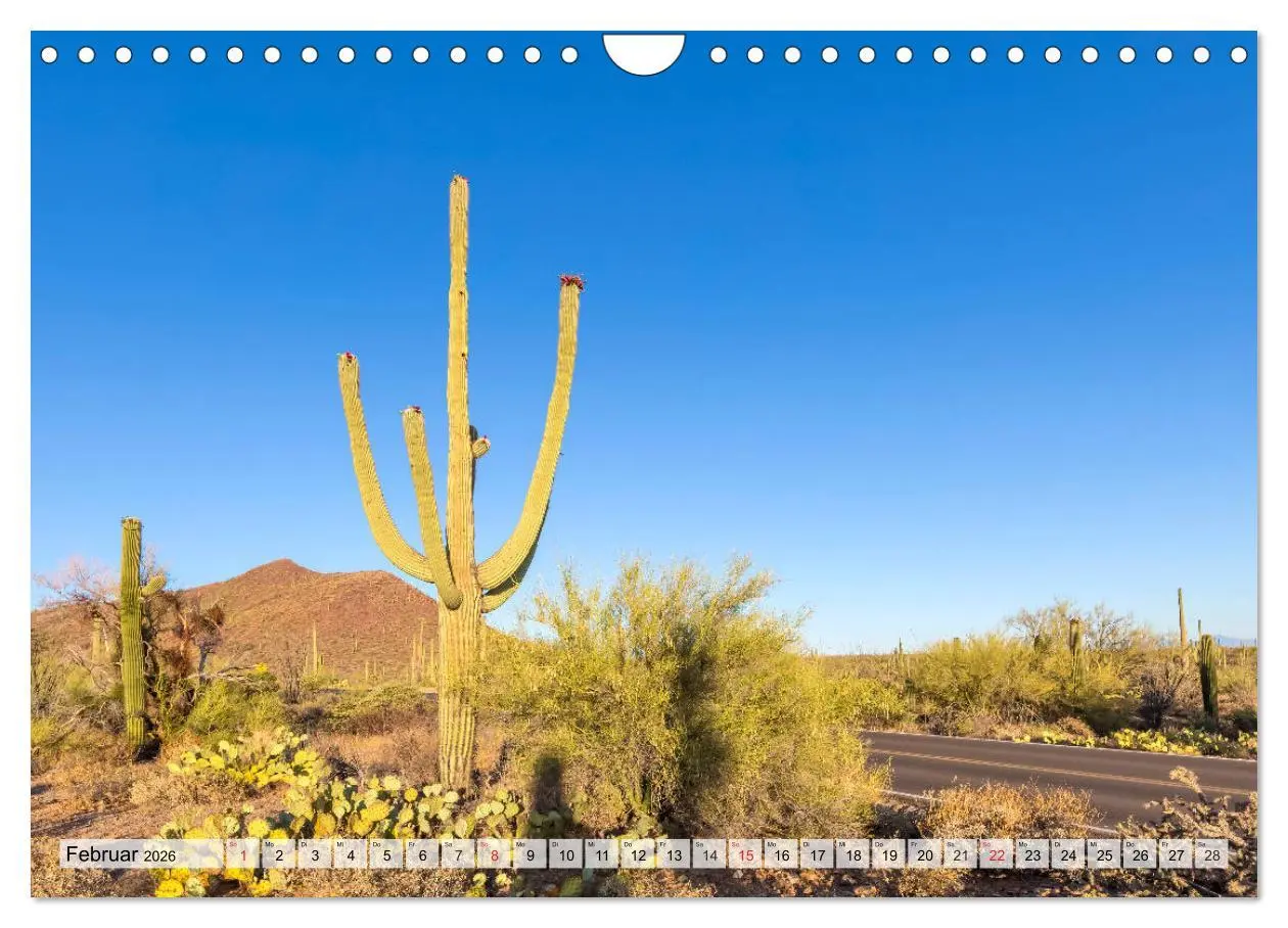 Bild: 9783457775325 | SAGUARO NATIONAL PARK Heimat des Saguaro-Kaktus (Wandkalender 2026...