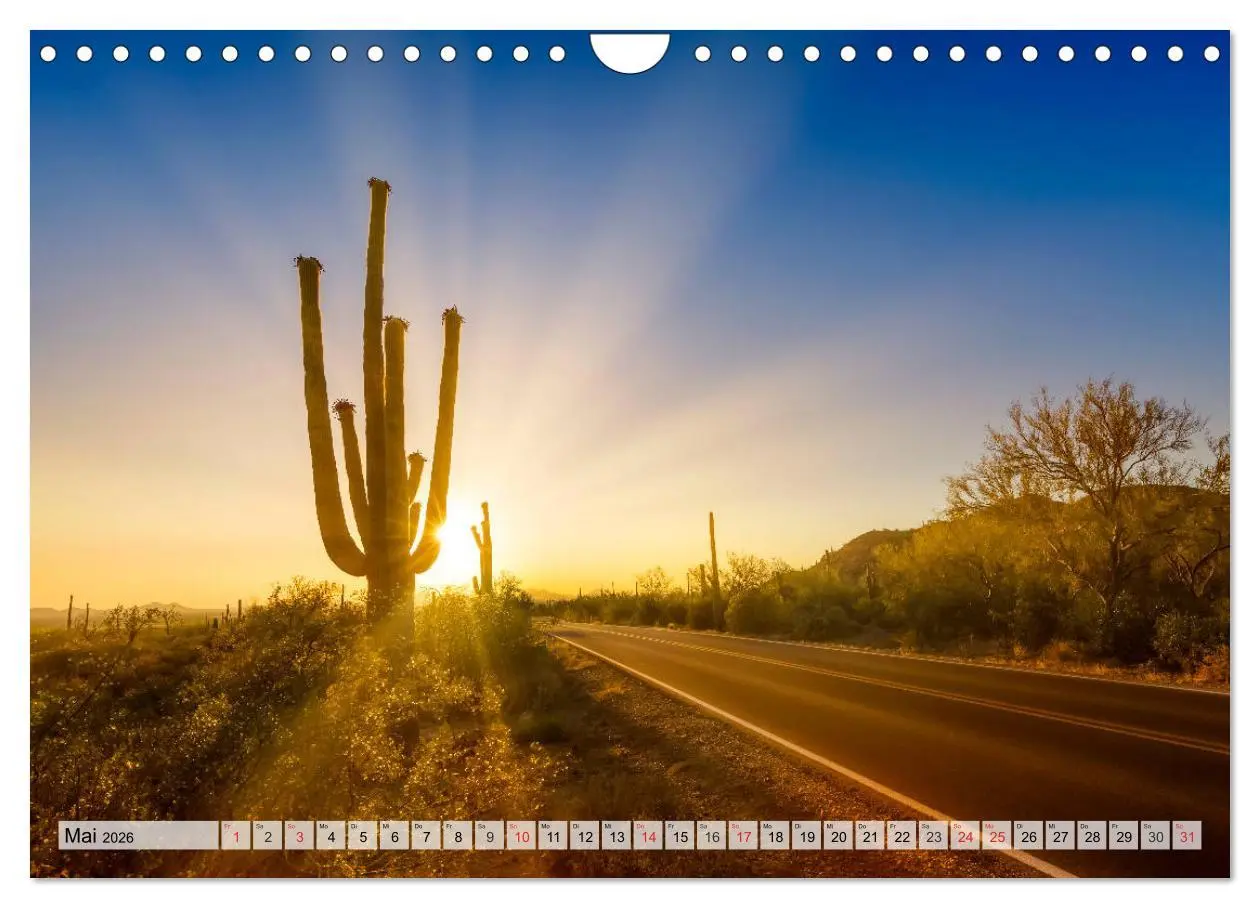Bild: 9783457775325 | SAGUARO NATIONAL PARK Heimat des Saguaro-Kaktus (Wandkalender 2026...