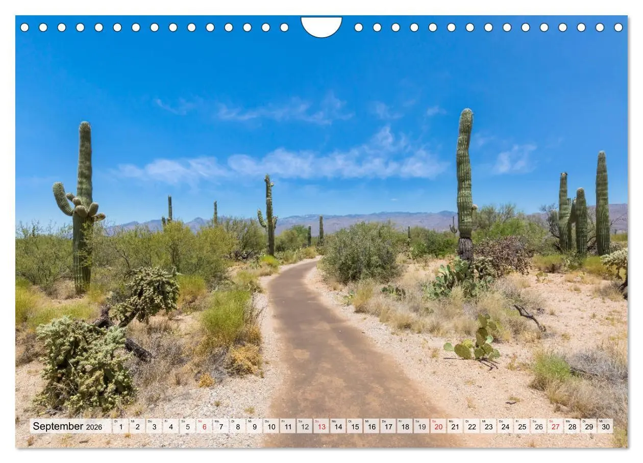 Bild: 9783457775325 | SAGUARO NATIONAL PARK Heimat des Saguaro-Kaktus (Wandkalender 2026...