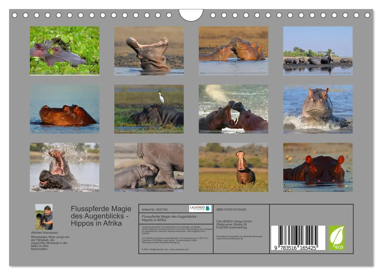 Bild: 9783516165425 | Flusspferde Magie des Augenblicks - Hippos in Afrika (Wandkalender...