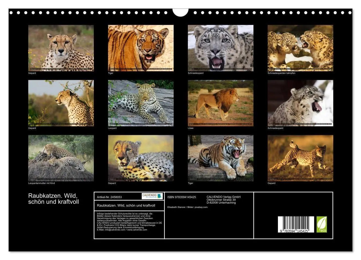 Bild: 9783594145425 | Raubkatzen. Wild, schön und kraftvoll (Wandkalender 2027 DIN A3...