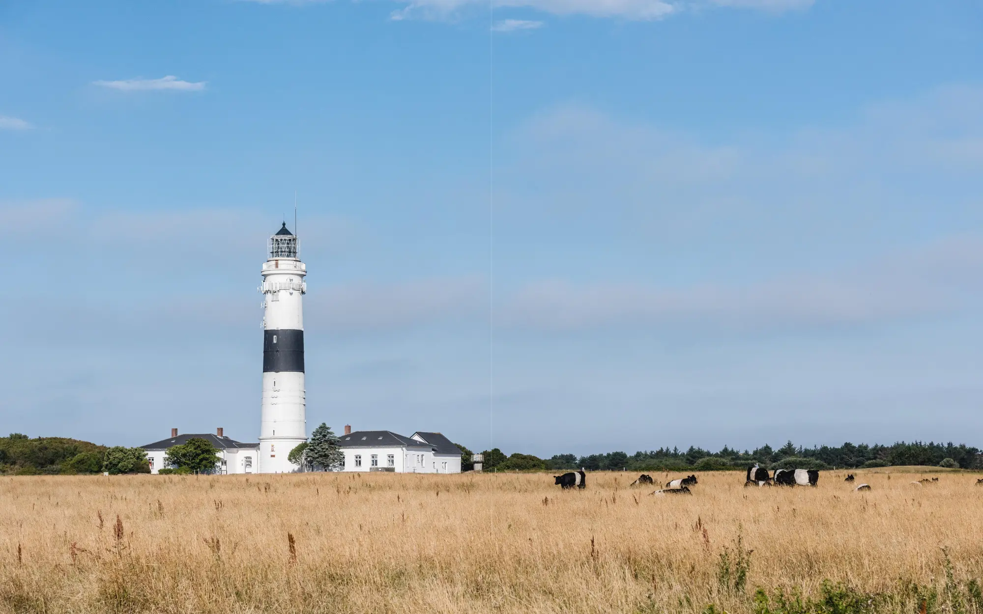 Bild: 9783791385525 | Gärten auf Sylt | Verborgene Paradiese des Nordens | Ulrich Timm