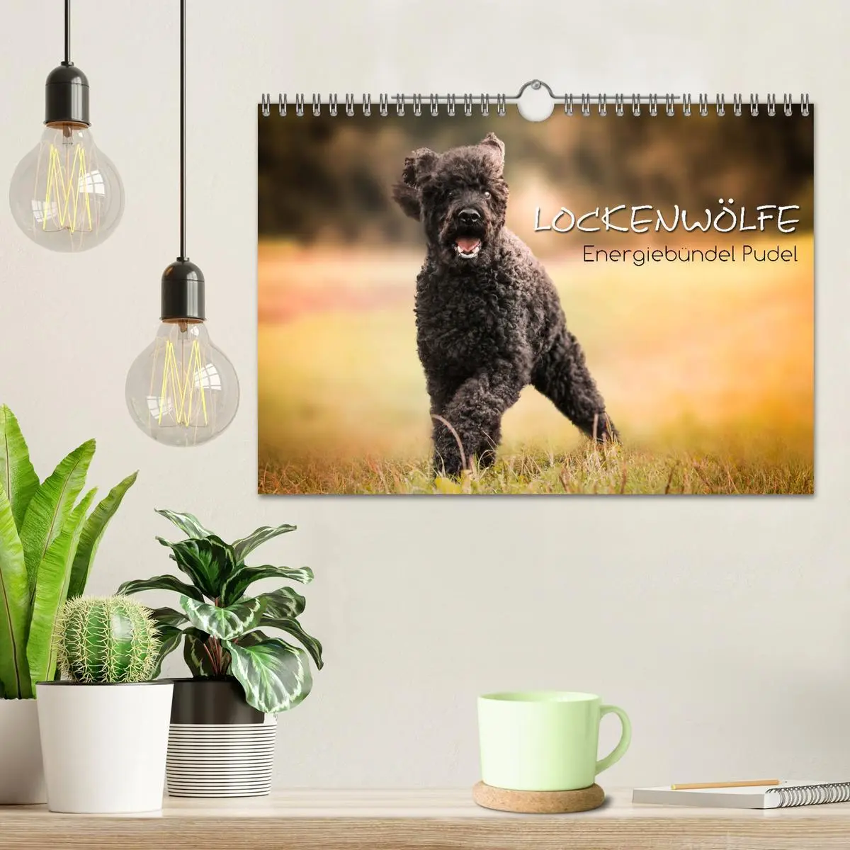 Bild: 9783457815625 | Lockenwölfe - Energiebündel Pudel (Wandkalender 2026 DIN A4 quer),...