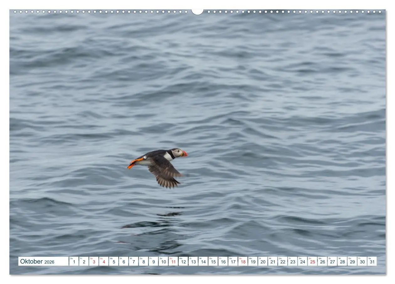 Bild: 9783457805725 | Lofoten Vesterålen (Wandkalender 2026 DIN A2 quer), CALVENDO...
