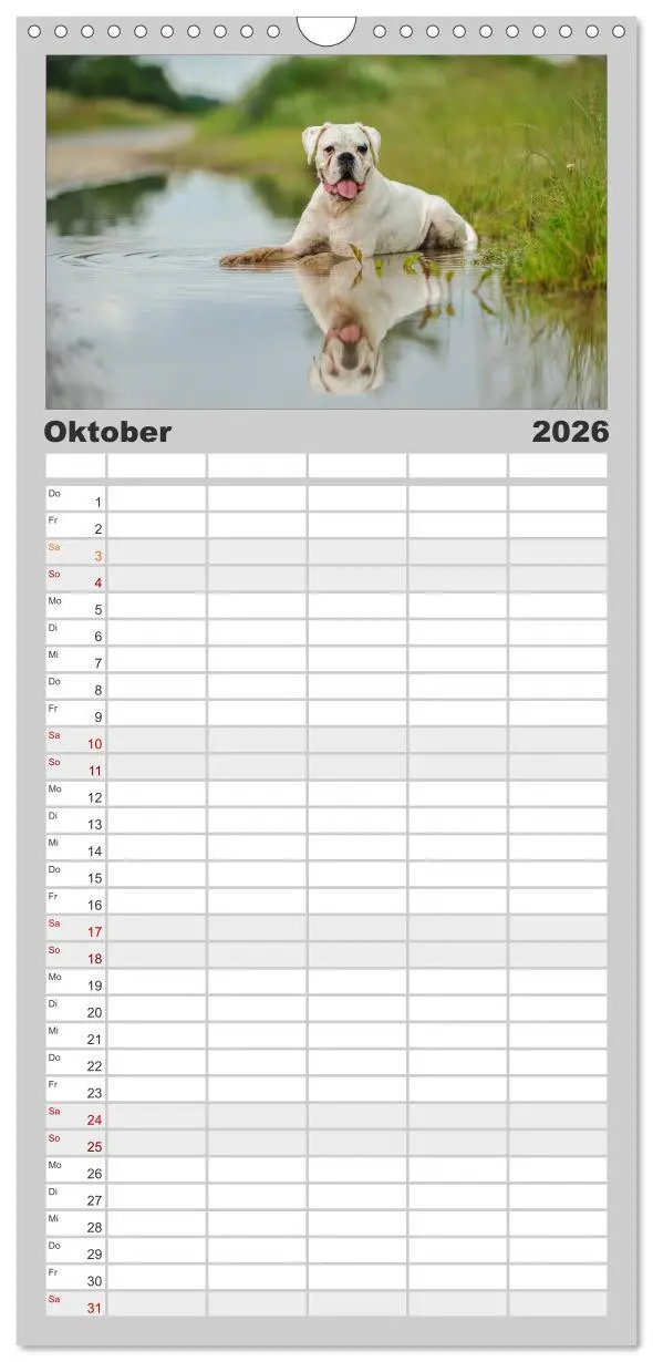 Bild: 9783516515725 | Familienplaner 2026 - Gut - besser - Boxer mit 5 Spalten...