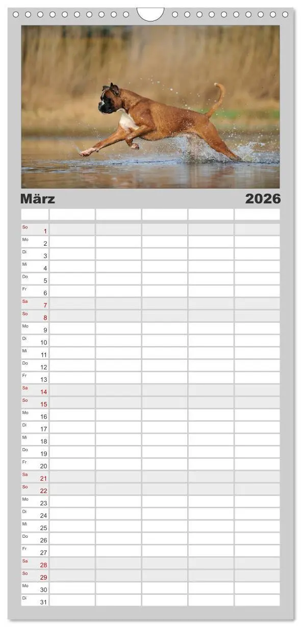 Bild: 9783516515725 | Familienplaner 2026 - Gut - besser - Boxer mit 5 Spalten...