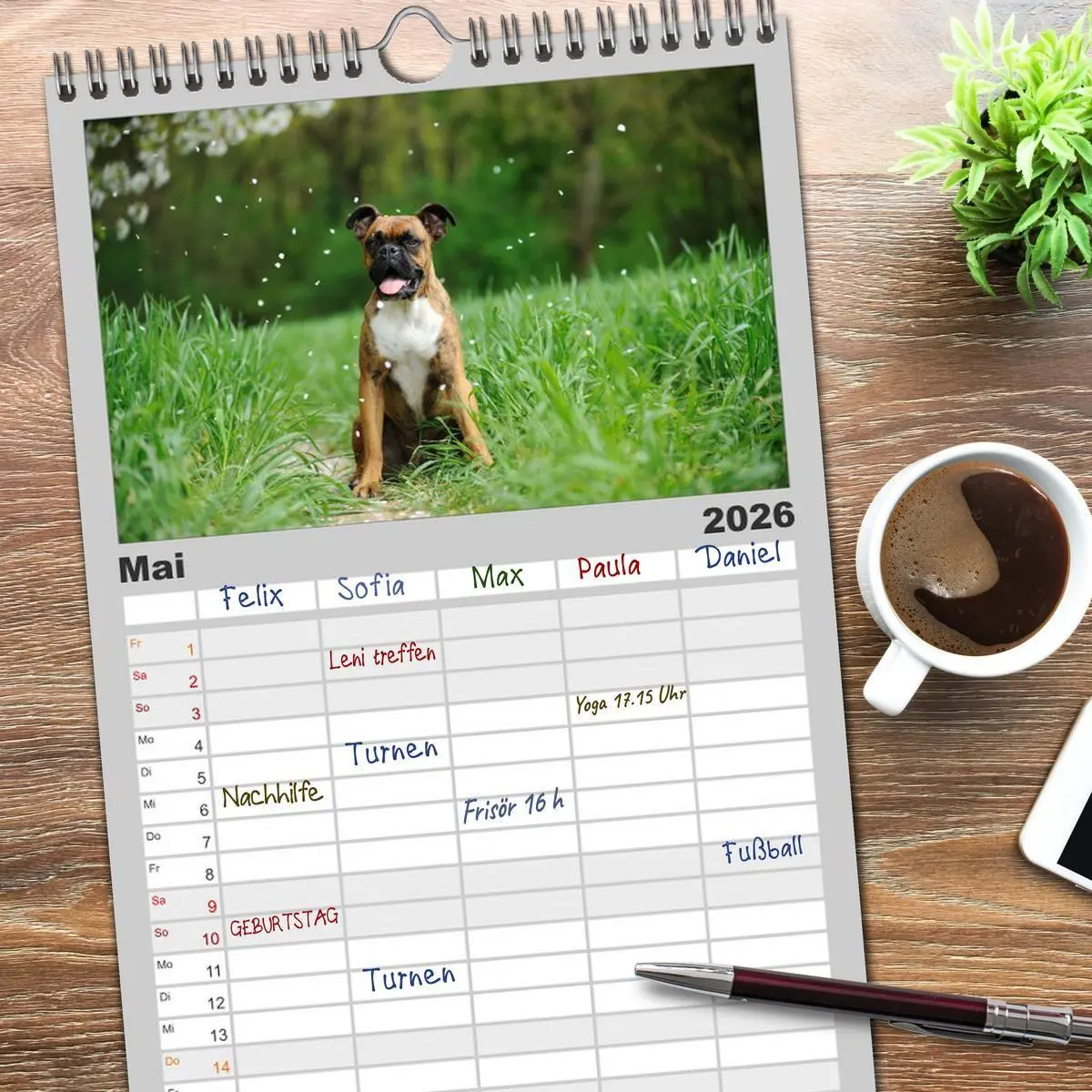 Bild: 9783516515725 | Familienplaner 2026 - Gut - besser - Boxer mit 5 Spalten...