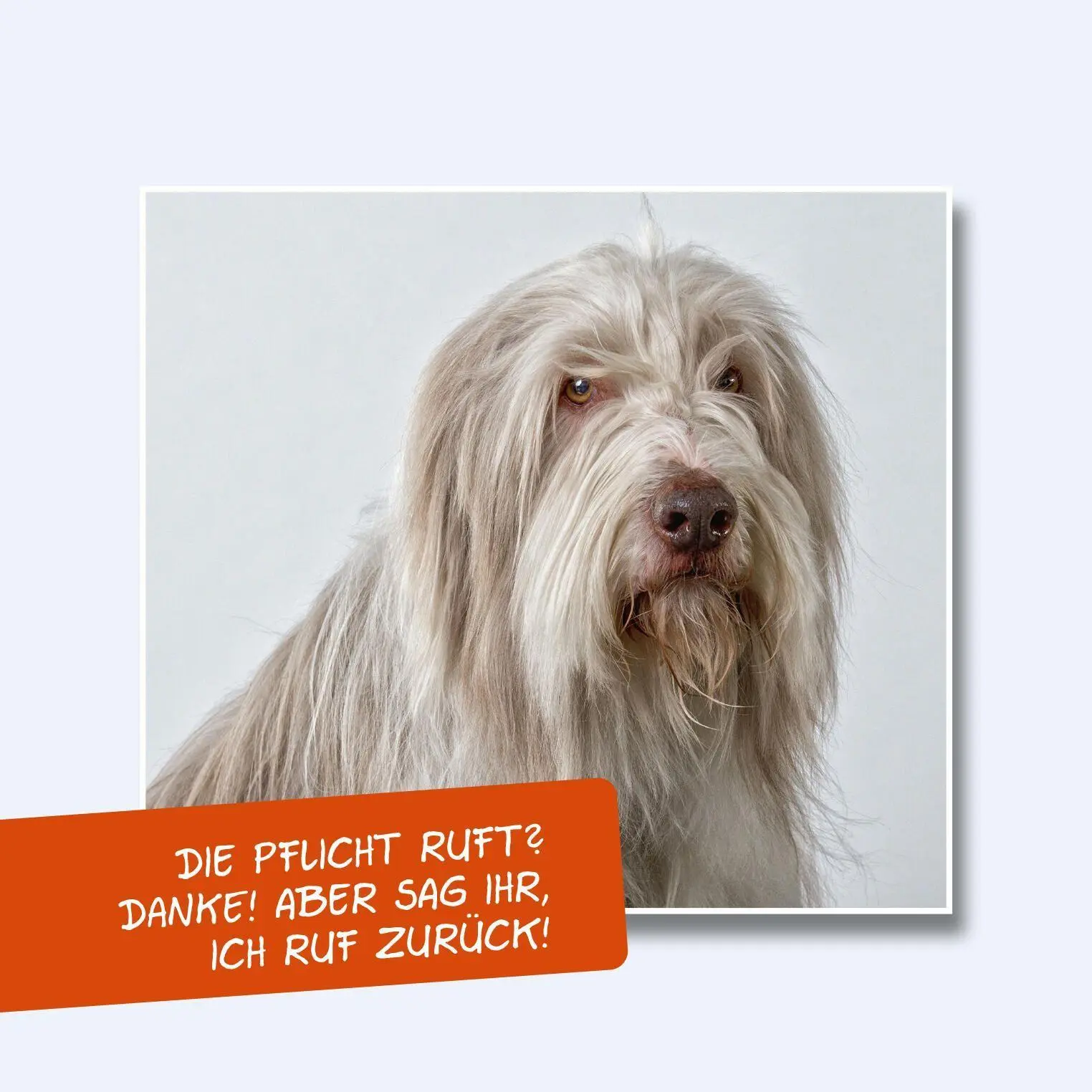 Bild: 9783830345725 | Uli Stein: Gute Wünsche!: Vielen Dank! | Uli Stein | Buch | 48 S.