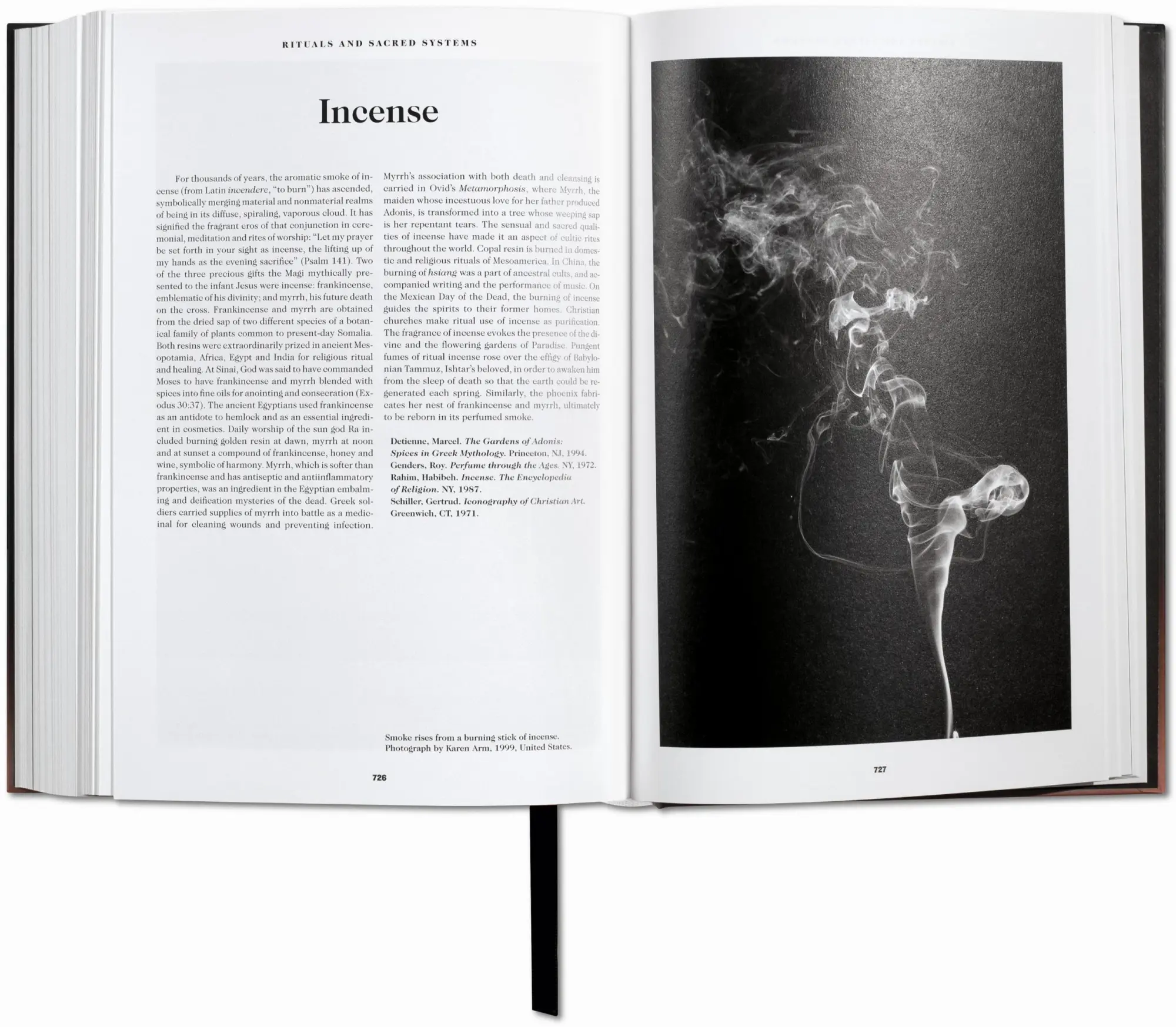 Bild: 9783836525725 | Das Buch der Symbole. Betrachtungen zu archetypischen Bildern | Buch