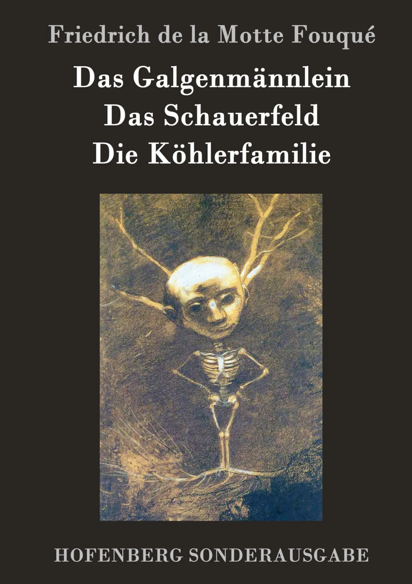 Cover: 9783843075725 | Das Galgenmännlein / Das Schauerfeld / Die Köhlerfamilie | Fouqué