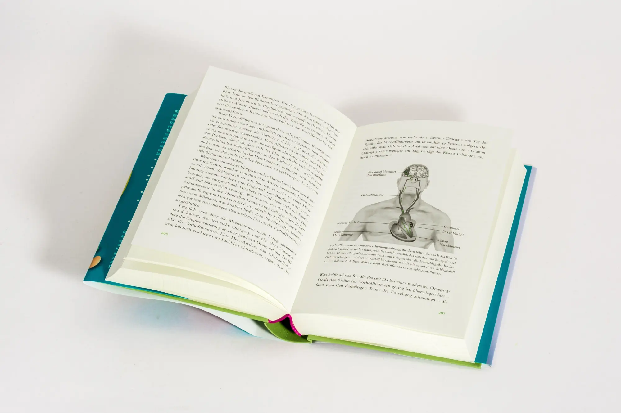 Bild: 9783570105825 | Der Vitamin- und Nährstoffkompass | Bas Kast | Buch | 448 S. | Deutsch