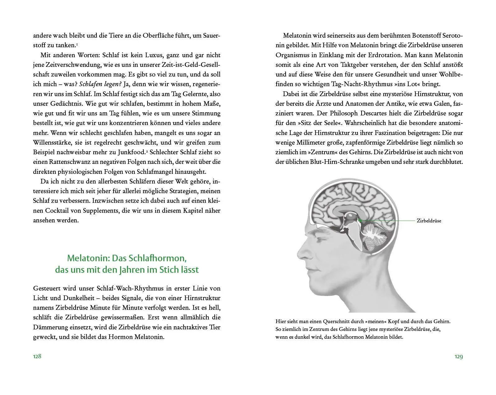 Bild: 9783570105825 | Der Vitamin- und Nährstoffkompass | Bas Kast | Buch | 448 S. | Deutsch