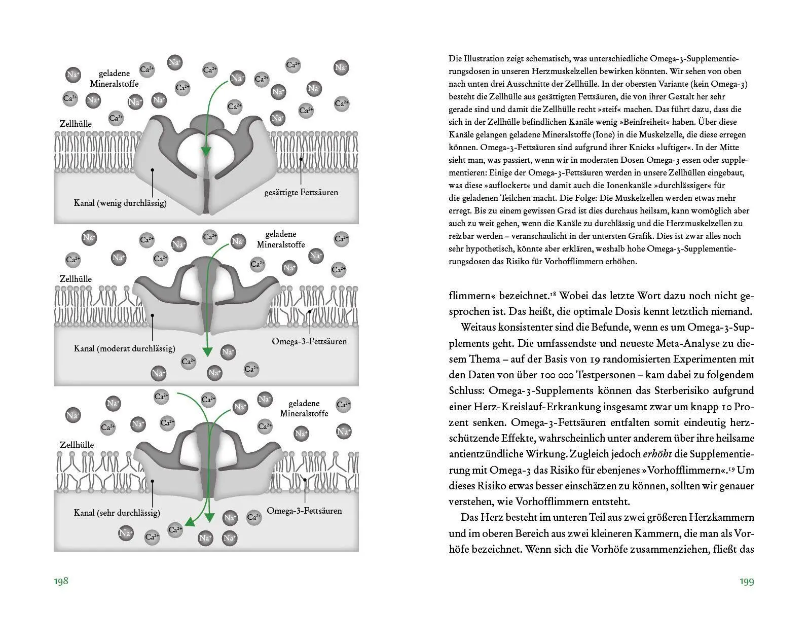 Bild: 9783570105825 | Der Vitamin- und Nährstoffkompass | Bas Kast | Buch | 448 S. | Deutsch
