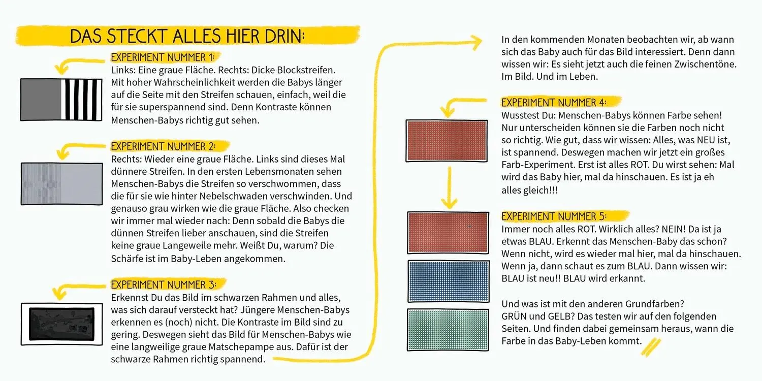 Bild: 9783751205825 | BiBiBiber hat da mal 'ne Frage. Warum können Babys nix? Farbe &amp;...