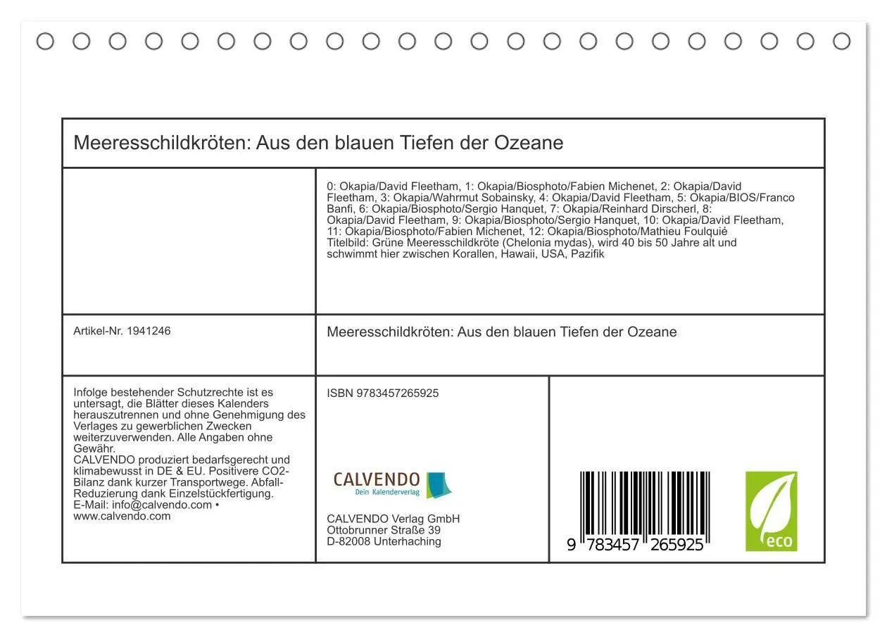 Bild: 9783457265925 | Meeresschildkröten: Aus den blauen Tiefen der Ozeane (Tischkalender...