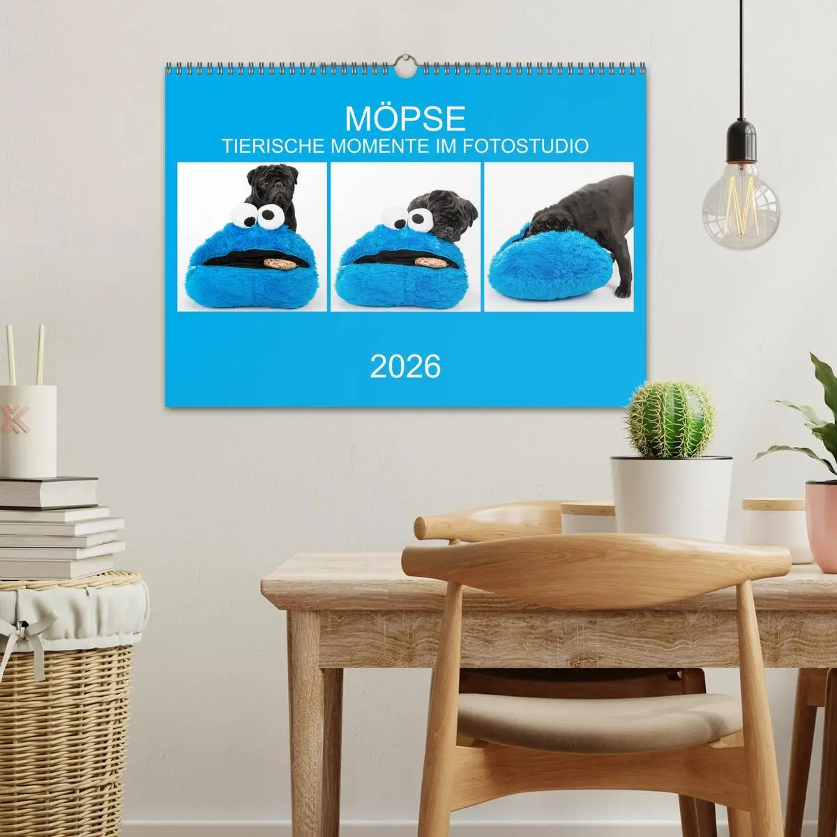 Bild: 9783457885925 | MÖPSE - tierische Momente im Fotostudio (Wandkalender 2026 DIN A3...