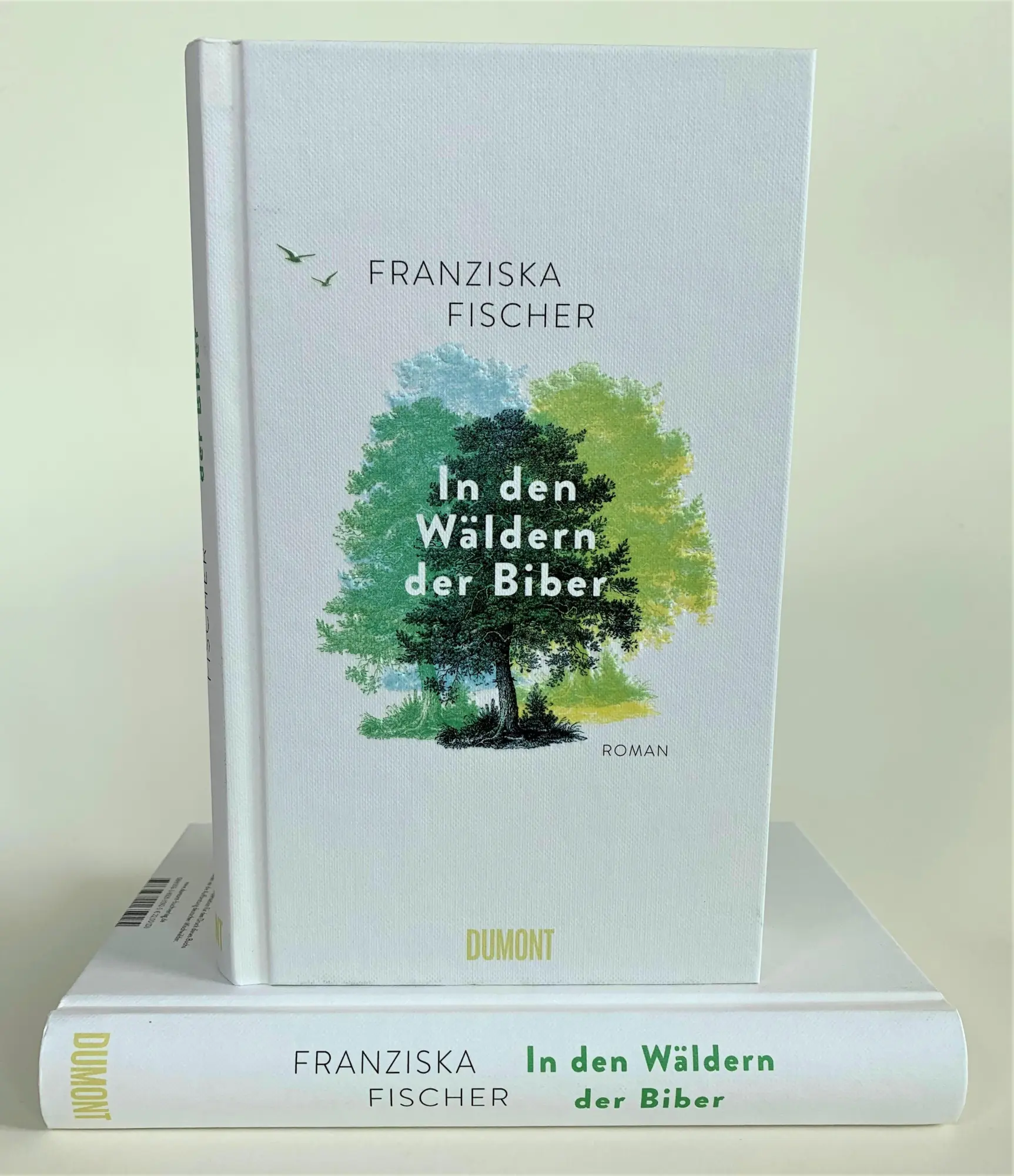 Bild: 9783832165925 | In den Wäldern der Biber | Roman | Franziska Fischer | Buch | 320 S.