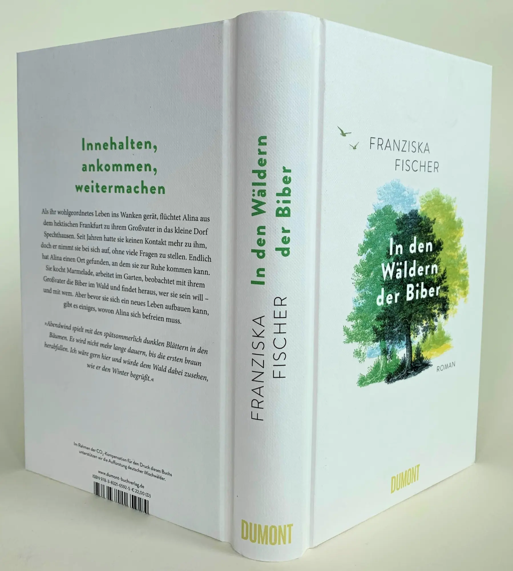 Bild: 9783832165925 | In den Wäldern der Biber | Roman | Franziska Fischer | Buch | 320 S.