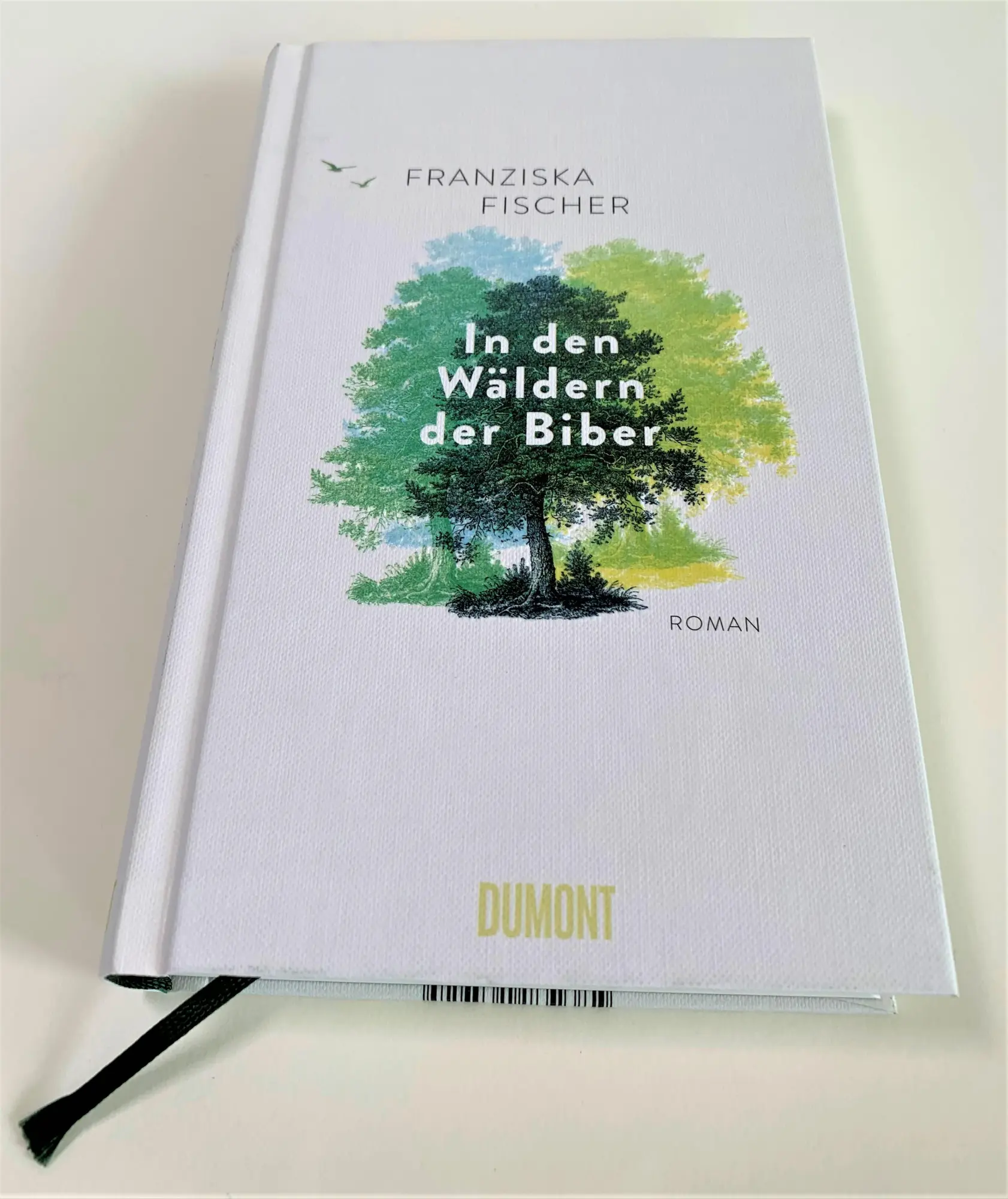 Bild: 9783832165925 | In den Wäldern der Biber | Roman | Franziska Fischer | Buch | 320 S.