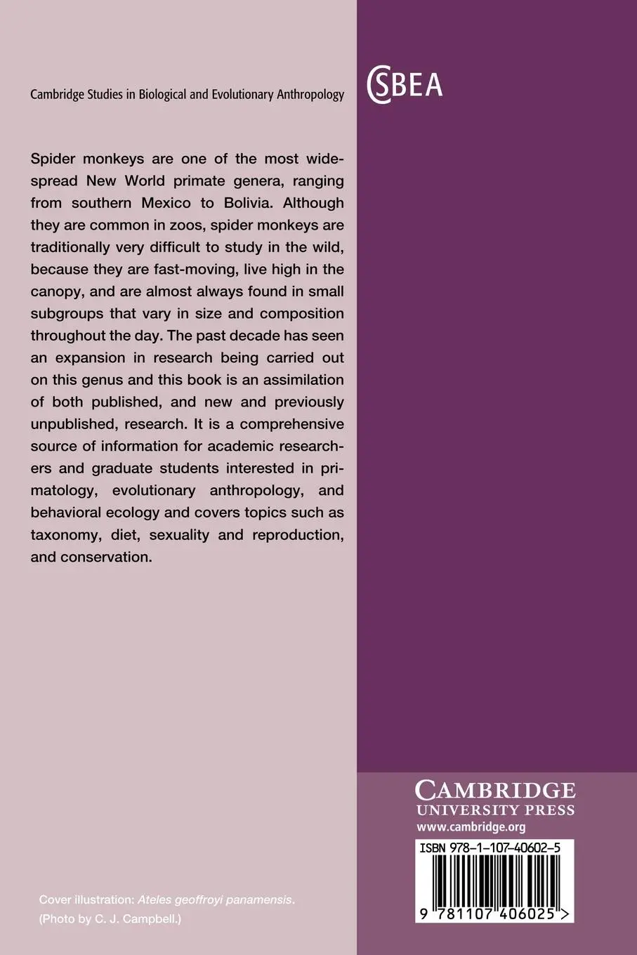 Rückseite: 9781107406025 | Spider Monkeys | The Biology, Behavior and Ecology of the Genus Ateles