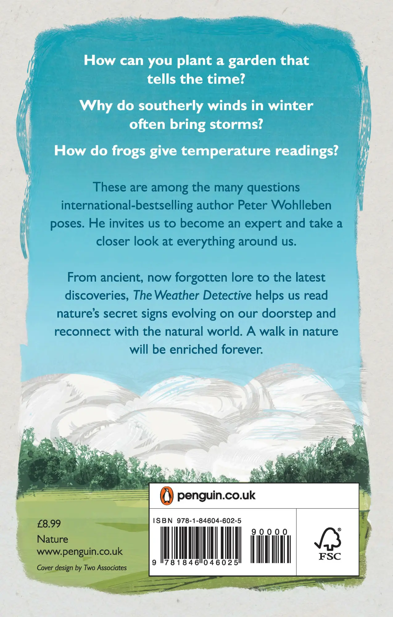 Rückseite: 9781846046025 | The Weather Detective | Rediscovering Nature's Secret Signs | Buch