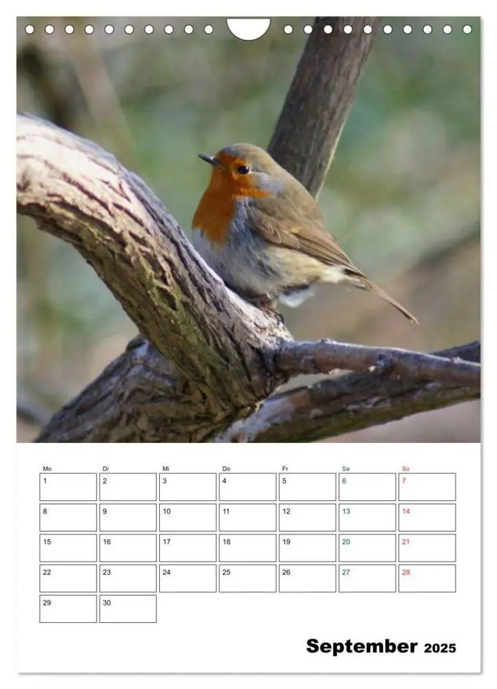 Bild: 9783457086025 | Heimische Singvögel (Wandkalender 2025 DIN A4 hoch), CALVENDO...