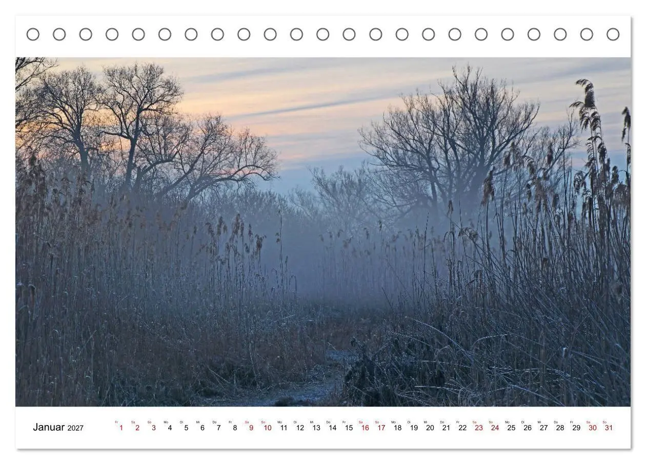 Bild: 9783569646025 | Hegau und See (Tischkalender 2027 DIN A5 quer), CALVENDO...