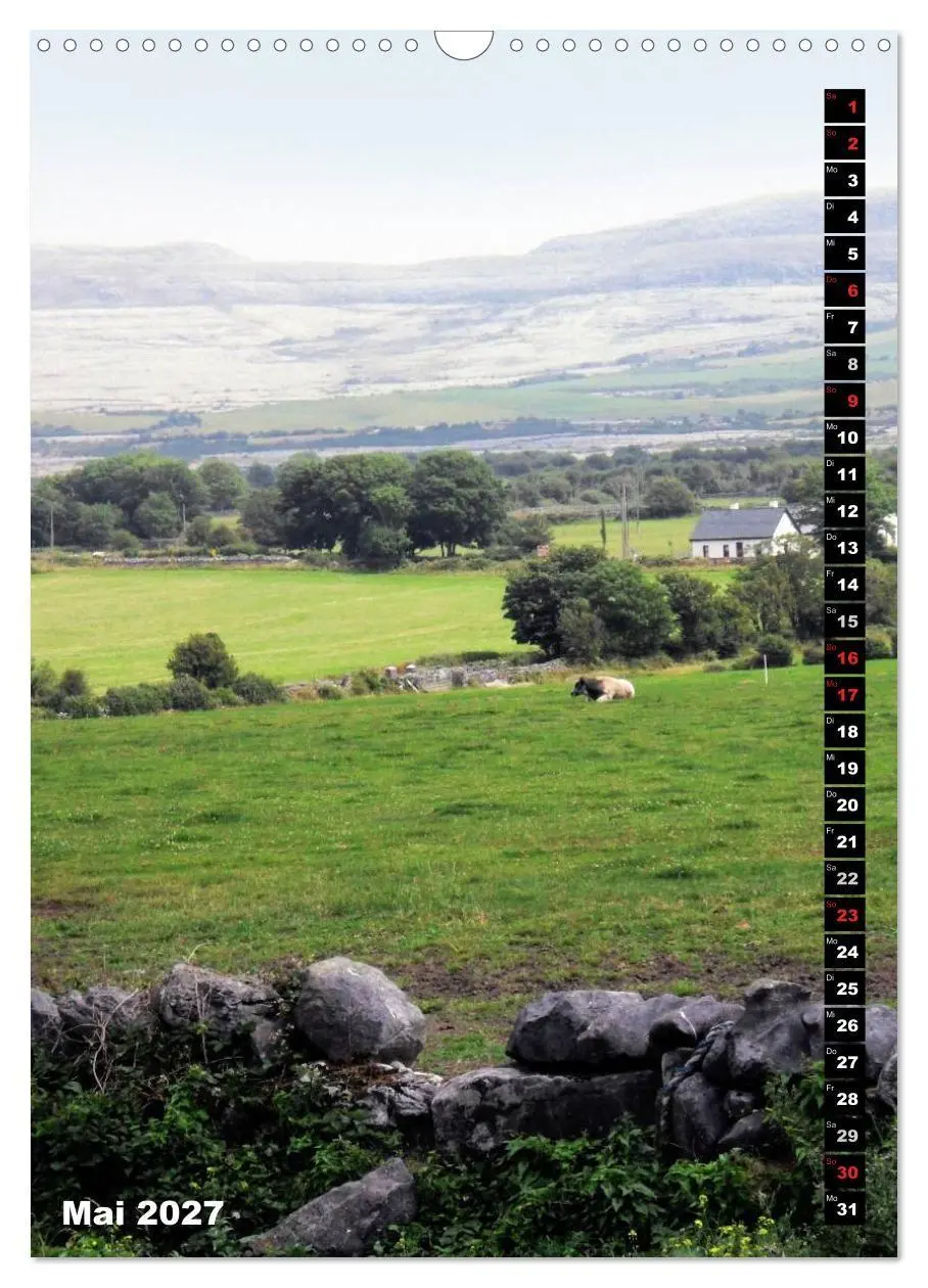 Bild: 9783594216125 | Traumhaftes Irland (Wandkalender 2027 DIN A3 hoch), CALVENDO...