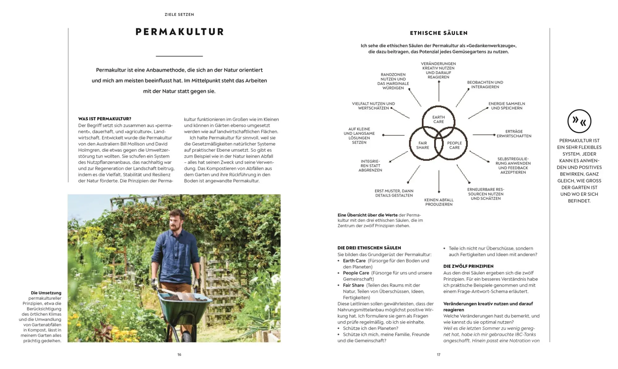 Bild: 9783831046225 | Mein Gemüsegarten | So gelingt Selbstversorgung | Huw Richards | Buch