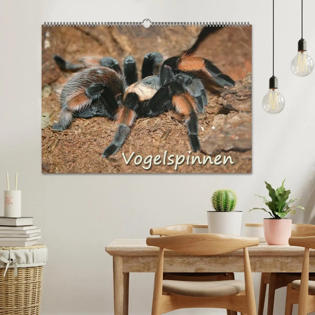Bild: 9783516076325 | Vogelspinnen (Wandkalender 2026 DIN A2 quer), CALVENDO Monatskalender