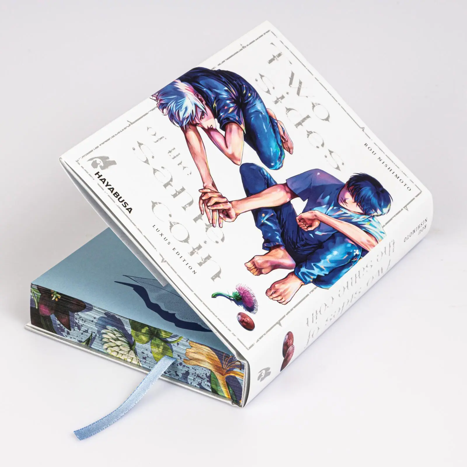 Bild: 9783551626325 | Two Sides of the Same Coin Doppelband Luxus Edition | Rou Nishimoto
