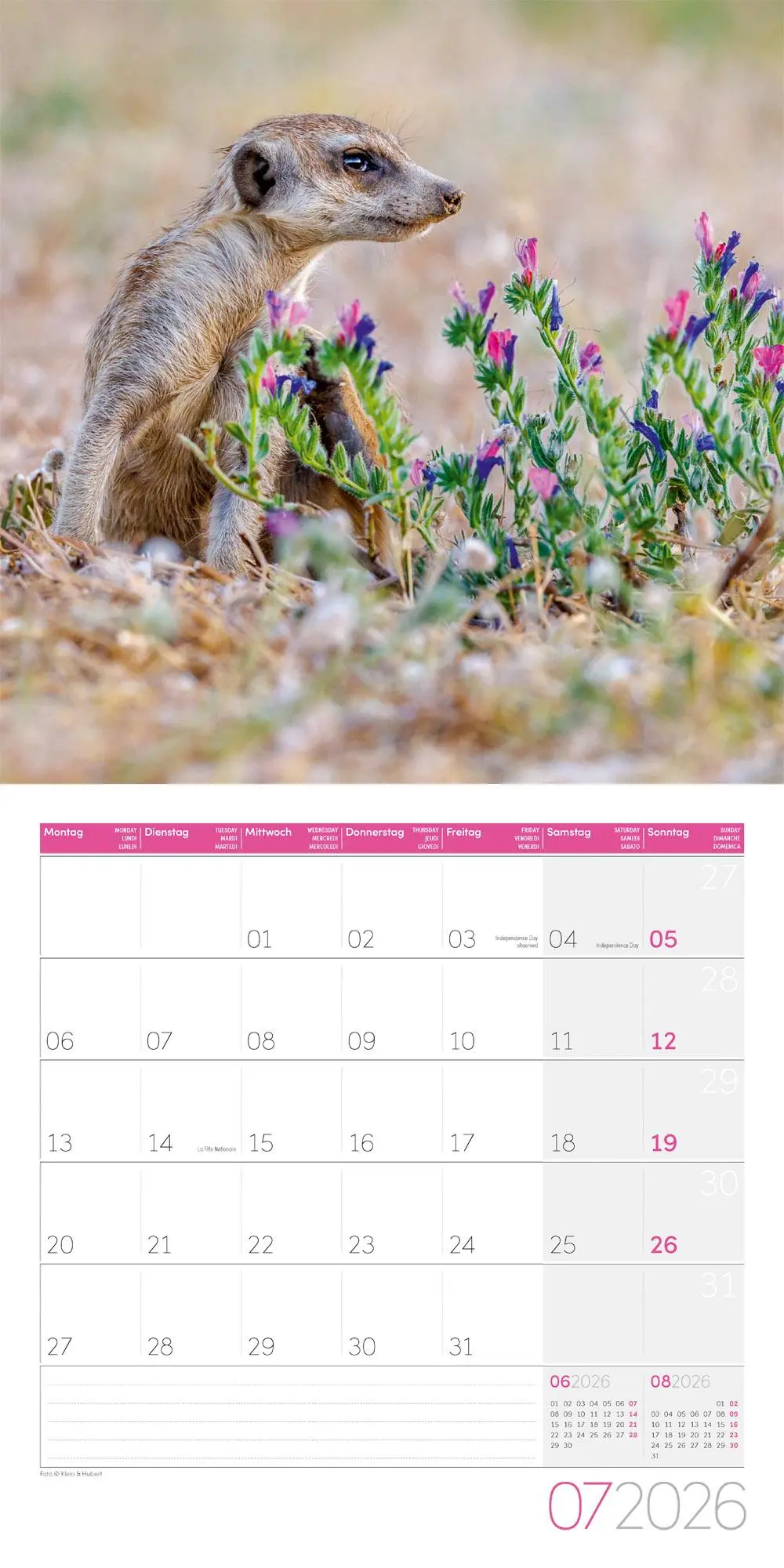 Bild: 9783838446325 | Erdmännchen Broschürenkalender 2026 - 30x30 - Art12 | GmbH | Kalender