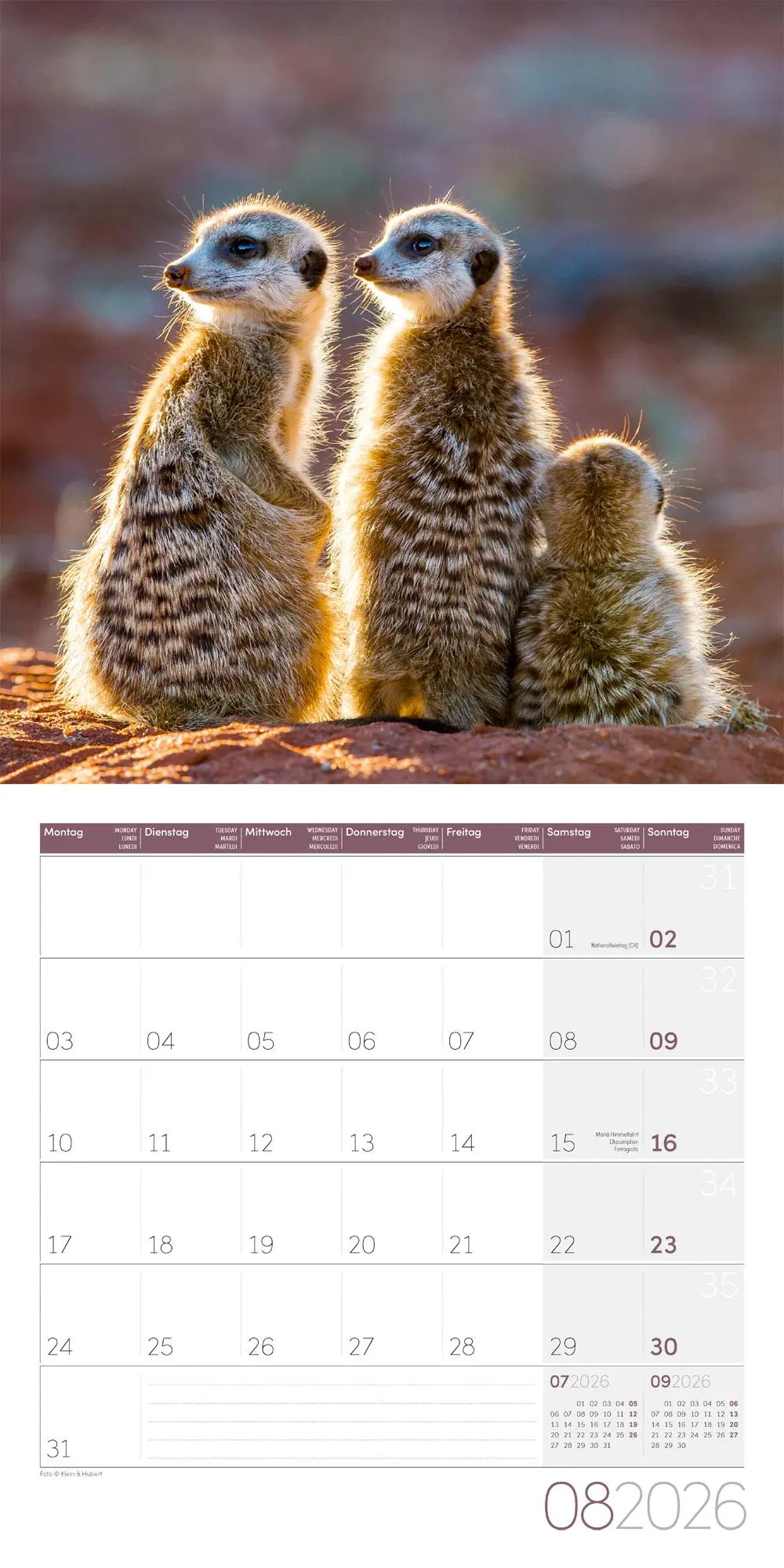 Bild: 9783838446325 | Erdmännchen Broschürenkalender 2026 - 30x30 - Art12 | GmbH | Kalender